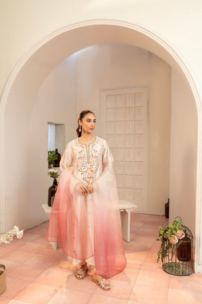 Nayab 3 PCS EMB