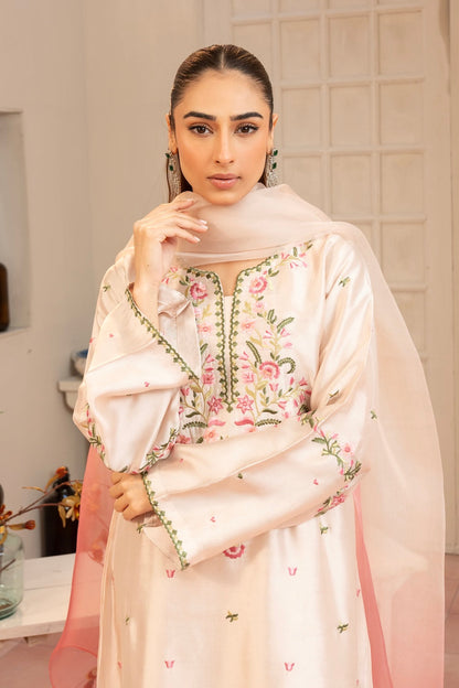 Nayab 3 PCS EMB