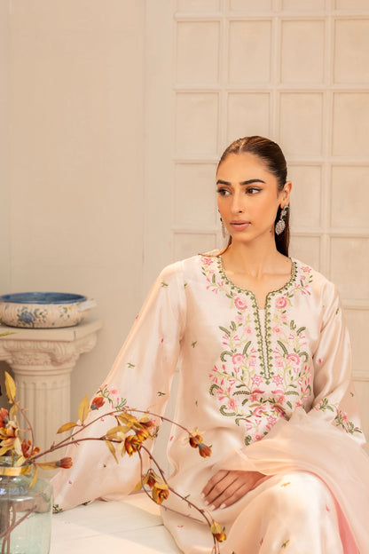 Nayab 3 PCS EMB